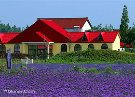 维罗纳薰衣草庄园