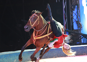 第二届滹沱河国际马戏嘉年华