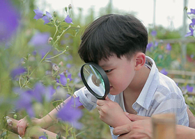 圣氏养生密码园