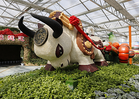 贵阳农业嘉年华