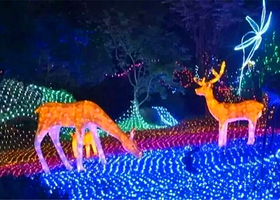 神龙湖度假村梦幻灯光节