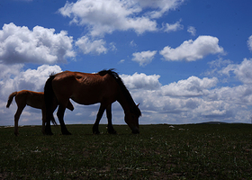 河北坝上闪电河草原水上乐园