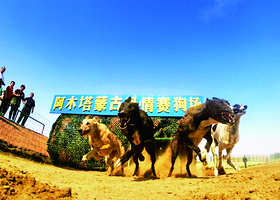 阿木塔半岛旅游度假村