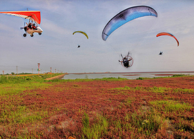 猎鹰滑翔红海滩