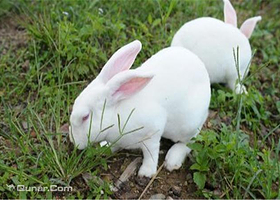 休闲农园一园一品（昌平店）