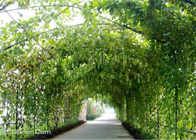 休闲农园一园一品（房山店）