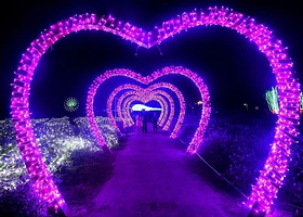 西双版纳傣族自治州民族博物馆国际灯光节