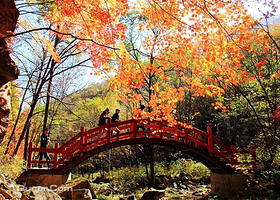 本溪天龙古洞红枫谷