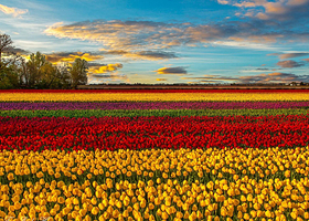 九龙山西游记乐园