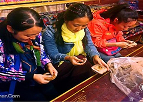 维巴村藏式民俗乡