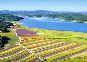 抚顺浑河源湿地公园