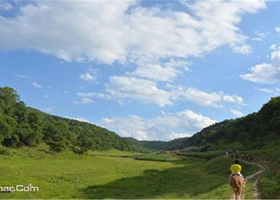 关山大唐私家牧场