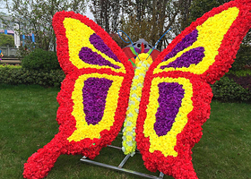 抚州东乡花果山花海文化节