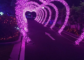 福湾财贸灯光节