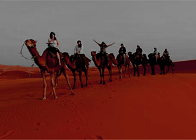 阿联酋阿布扎比夜间观光游玩