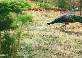 武汉木兰叮当蝴蝶谷