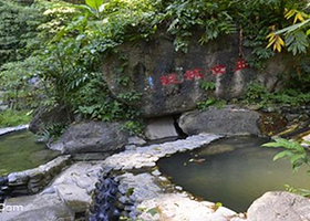 樱花谷森林温泉