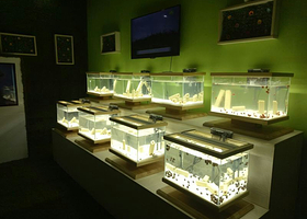 杭州湾萤火虫城堡