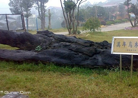 岳阳盘石洲水上乐园