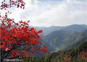 梅岭太阳谷大型梅花文化节