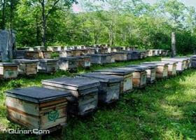 双鸭山东北黑峰保护区