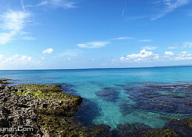 砂岛生态保护区