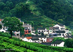 梅家坞茶文化村