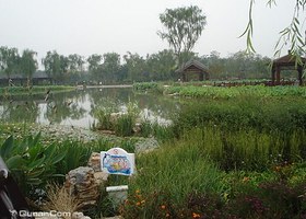 津北森林嘉年华