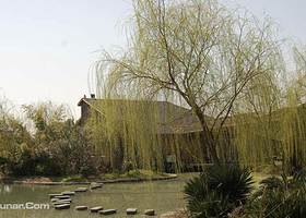 杭州西湖三墩绿韵山庄