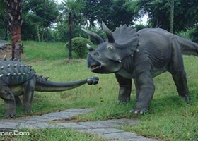 包头国际会展中心恐龙园展览