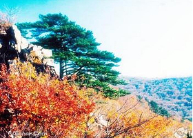 铁岭西丰城子山风景区