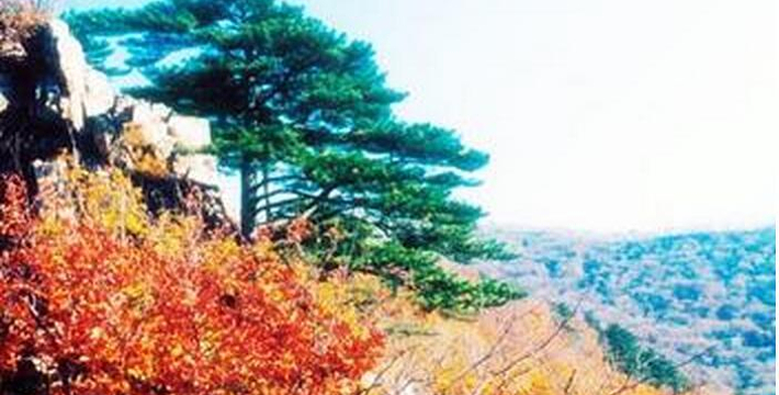 铁岭西丰城子山风景区门票,铁岭西丰城子山风景区门票预订,铁岭西丰城子山风景区门票价格,去哪儿网门票