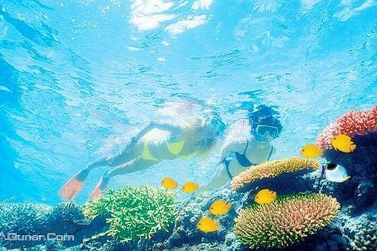 凯恩斯外海大堡礁旅游