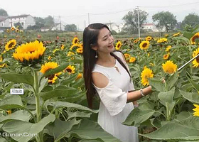 安庆市首届向日葵花展旅游文化节