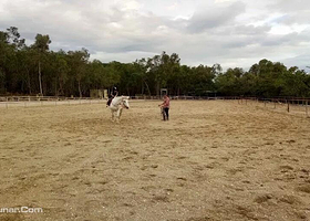 三亚马术俱乐部
