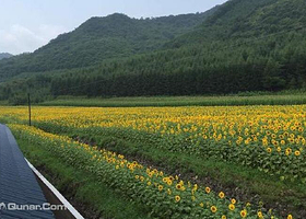 丹东青山沟万花谷景区