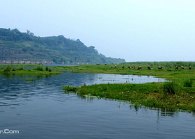 安居黄家坝湿地公园