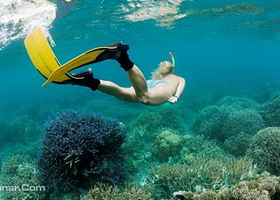 甲米岛潜水活动