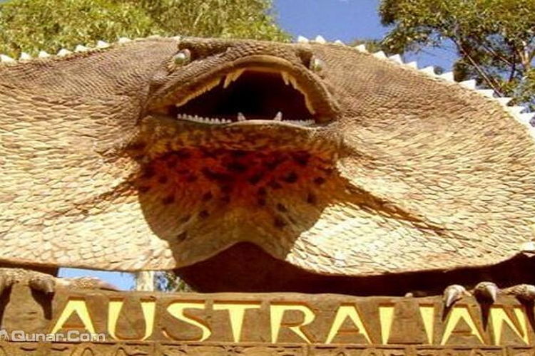 澳大利亚爬行动物园旅游