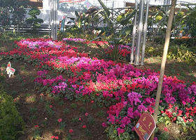 辽阳首山生态园