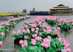 乌巾荡湿地公园