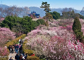 梅花山风景区