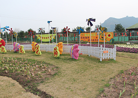 台州九龙花海景区