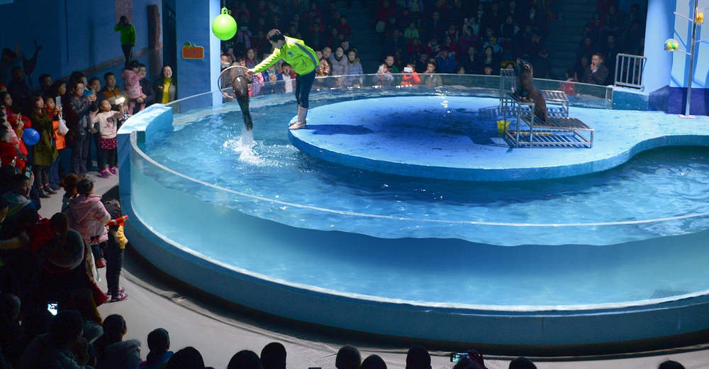 南充海洋世界中秋国庆门票(儿童票) 蓝精灵 景点门票预订