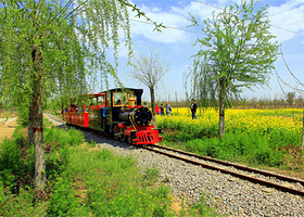 春田公社油菜花节