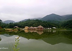 阳新薰衣紫草主题庄园