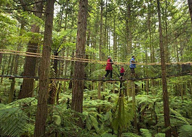 罗托鲁瓦红木森林