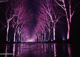 夜游凤凰沟灯光秀