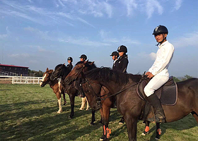 锦州凤凰山御源瑞嘉马术俱乐部