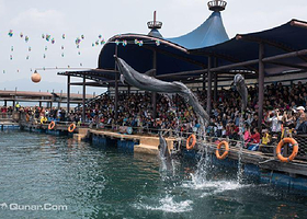 分界洲岛海洋馆